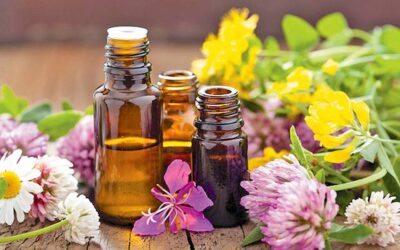 Terapia Floral – El poder curativo de las esencias florales
