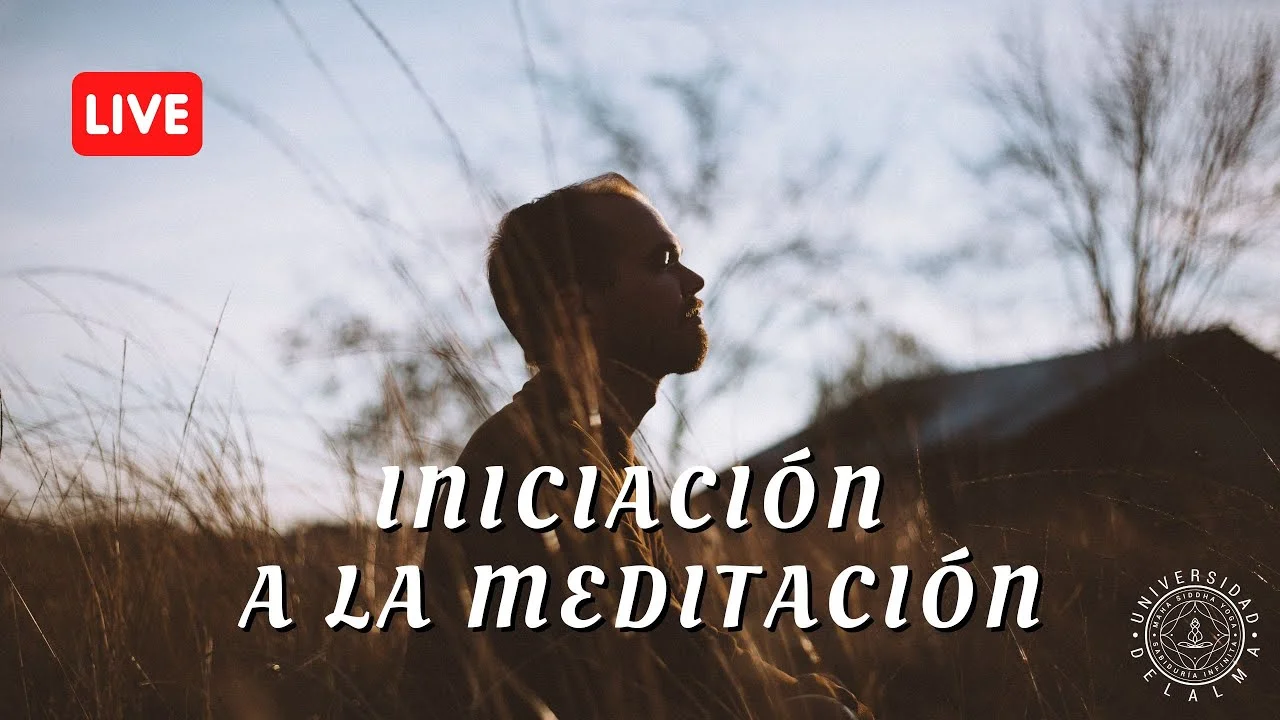 Curso: Iníciate en el camino de la meditación