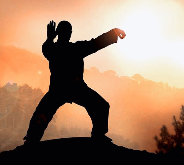 Taichi – Meditación en Movimiento